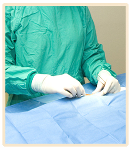 Your Pet's Surgery